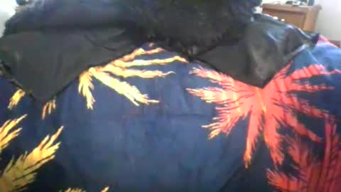 Max online show from 6, 3, 2026