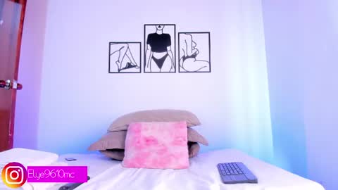Snapshot of mcdonald_ellie chatting on 11, 6, 2026 Ellie online show from 11, 6, 2026