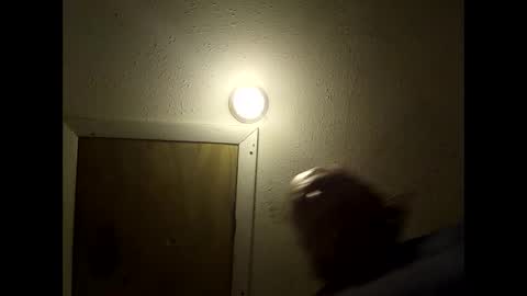 meaderd740870 online show from 14, 2, 2026