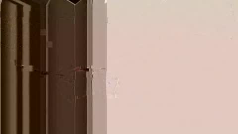 Bruh online show from 13, 11, 2025