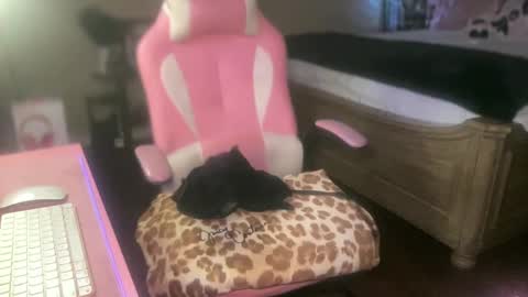 Snapshot of meetsouthernpeach chatting on 27, 9, 2025 Southern Peach online show from 27, 9, 2025