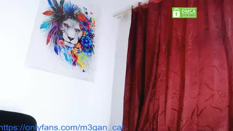 Snapshot of megan_cat chatting on 4, 12, 2025 megan_cat online show from 4, 12, 2025
