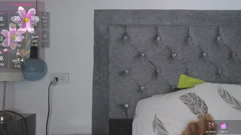 Meghan  online show from 24, 2, 2026