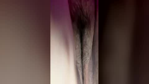 mel_fme2 online show from 19, 4, 2026