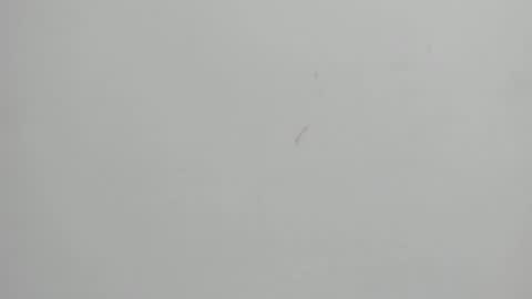 Melani  online show from 26, 2, 2025