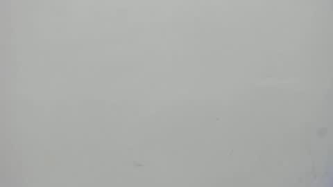 Melani  online show from 6, 3, 2025