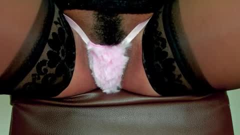 Melania online show from 28, 3, 2026