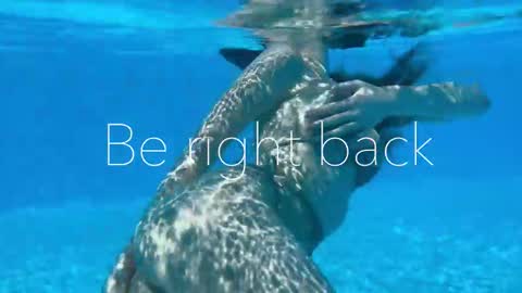 Adel online show from 14, 11, 2025