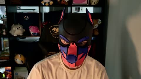 MellPUP online show from 9, 6, 2026