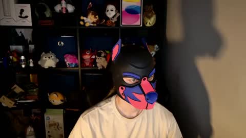 MellPUP online show from 15, 6, 2026