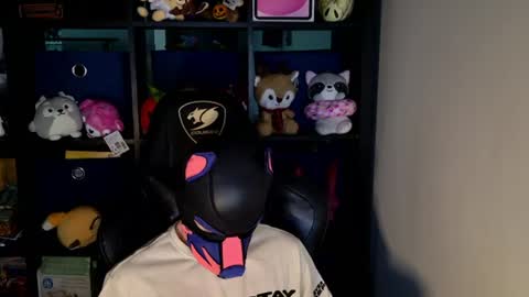 MellPUP online show from 19, 6, 2026