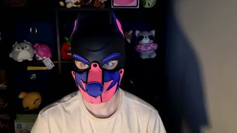 MellPUP online show from 22, 6, 2026