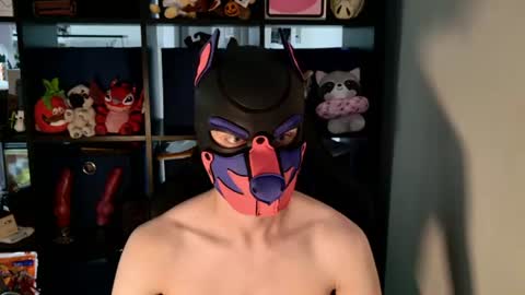 MellPUP online show from 14, 7, 2026