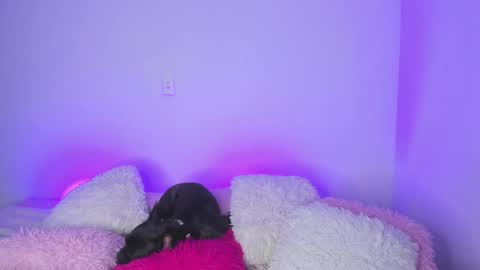 Snapshot of melody__77 chatting on 15, 2, 2025 online show from 15, 2, 2025