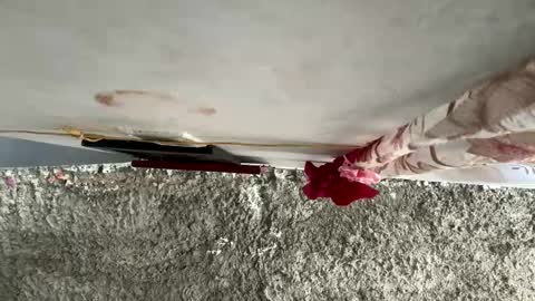 melodysnow online show from 10, 1, 2026