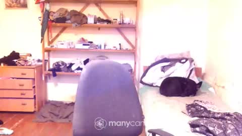 Snapshot of memorningdew chatting on 22, 12, 2025 Yummygirl online show from 22, 12, 2025