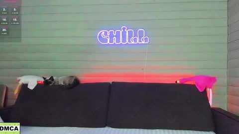 Snapshot of meowluv chatting on 11, 12, 2024 NIKKY STIVE Every day from 1000 to 200 EST time. online show from 11, 12, 2024