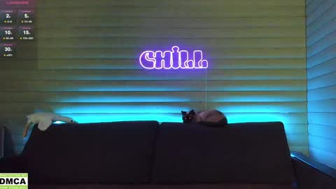 Snapshot of meowluv chatting on 6, 1, 2025 NIKKY STIVE Every day from 1000 to 200 EST time. online show from 6, 1, 2025