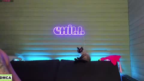 Snapshot of meowluv chatting on 11, 1, 2025 NIKKY STIVE Every day from 1000 to 200 EST time. online show from 11, 1, 2025