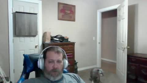 mercer1977 online show from 14, 6, 2026