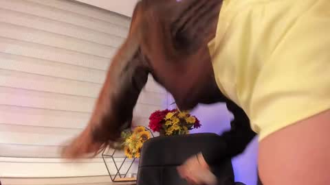 Merida  online show from 8, 3, 2025