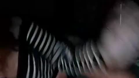 mermaidonland25 online show from 5, 10, 2025