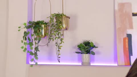 Snapshot of mia_oconner chatting on 31, 12, 2024 mia_oconner online show from 31, 12, 2024