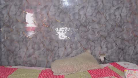 Snapshot of miarouse1531 chatting on 7, 2, 2026 miarouse1531 online show from 7, 2, 2026