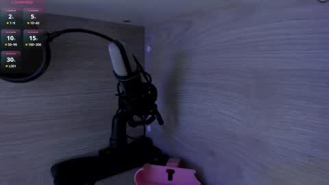 michellepreston_ online show from 20, 2, 2026