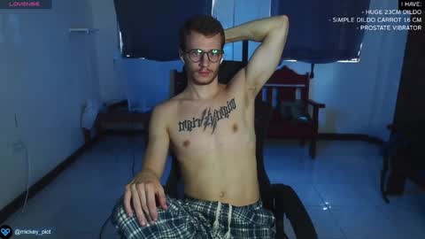 Snapshot of mickey_pict chatting on 27, 12, 2024 Mickey online show from 27, 12, 2024