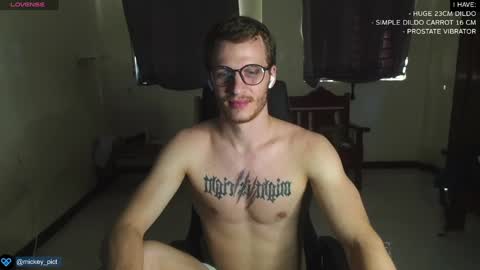 Snapshot of mickey_pict chatting on 29, 12, 2024 Mickey online show from 29, 12, 2024