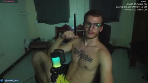 Snapshot of mickey_pict chatting on 30, 12, 2024 Mickey online show from 30, 12, 2024