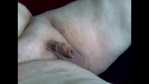 micropimmel online show from 8, 1, 2026