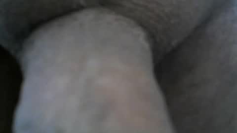 Snapshot of mike26051 chatting on 24, 12, 2024 mike26051 online show from 24, 12, 2024