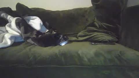 Snapshot of mike_davis44444 chatting on 31, 1, 2025 mike_davis44444 online show from 31, 1, 2025