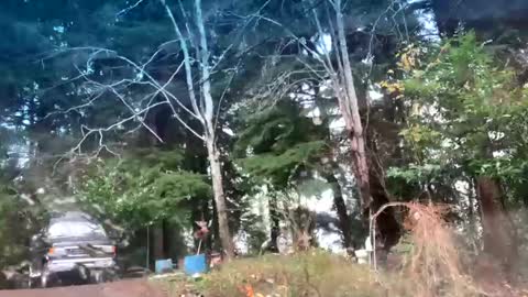 Snapshot of mikeblair5081 chatting on 22, 12, 2025 mikeblair5081 online show from 22, 12, 2025