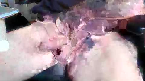 Snapshot of mikefun4711 chatting on 28, 10, 2025 mikefun4711 online show from 28, 10, 2025