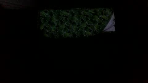 Snapshot of mikellangelo1 chatting on 5, 10, 2025 MICHAEL MOTORCYCLE online show from 5, 10, 2025