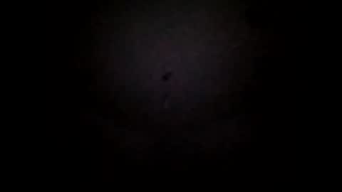 Snapshot of mikemike11k chatting on 25, 1, 2025 mikemike11k online show from 25, 1, 2025