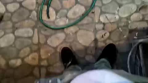 miky17cm online show from 8, 1, 2026