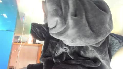 Mila Dash online show from 24, 9, 2025