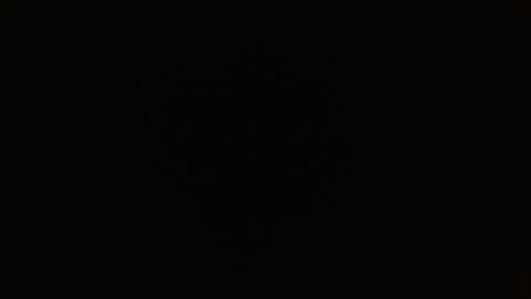 Rosalie  online show from 1, 3, 2026