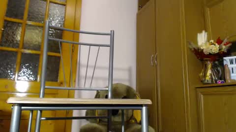 Snapshot of milk_and_hon3y chatting on 4, 12, 2024 Im  to see you here Pvts are open  I love patterns soo much online show from 4, 12, 2024