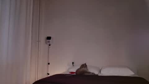 milky__way_ online show from 5, 10, 2025