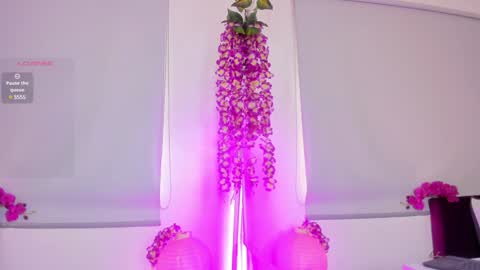 Snapshot of milu_beluci chatting on 30, 1, 2025 Milu Belucci online show from 30, 1, 2025