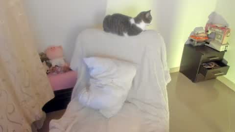 Snapshot of mimi_sa chatting on 2, 7, 2026 Mimii online show from 2, 7, 2026