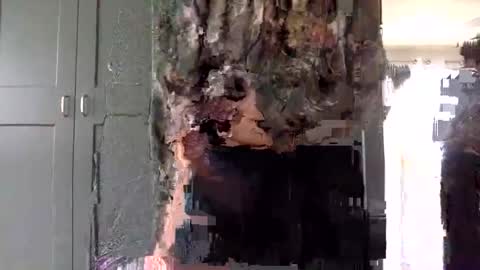 Snapshot of mince_alors chatting on 24, 11, 2025 mince_alors online show from 24, 11, 2025