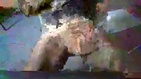 Snapshot of minoas31 chatting on 13, 12, 2024 minoas31 online show from 13, 12, 2024