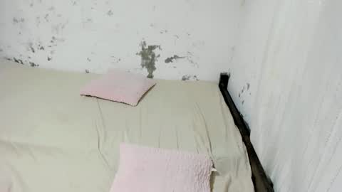 Snapshot of miss_morgan69 chatting on 24, 2, 2025 miss_morgan69 online show from 24, 2, 2025