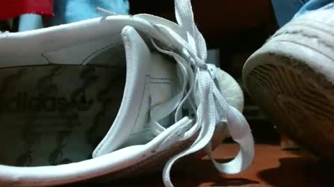 Miss samy online show from 28, 1, 2025